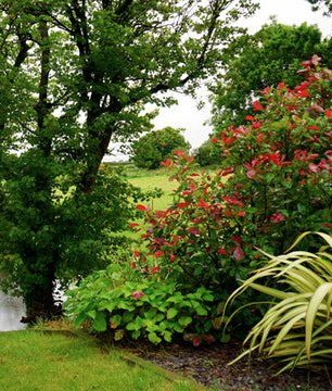 Photo of garden, lake, and hillside